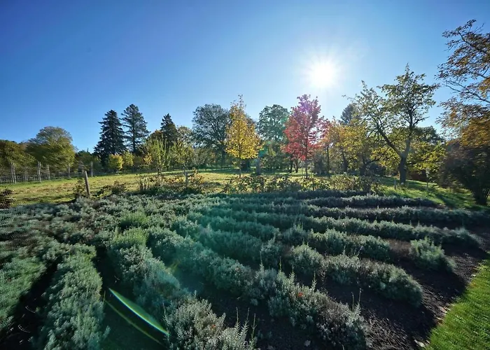Apartment Tranquillini Auf Gut Guntrams